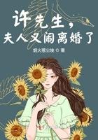 许先生，夫人又闹离婚了