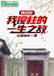 四合院：我傻柱的一生之敌