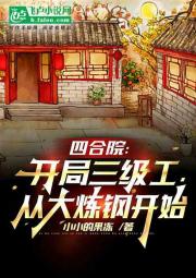 四合院：三级工程师，大炼钢开始