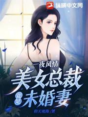 一夜风情，美女总裁竟是未婚妻