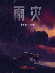 雨灾